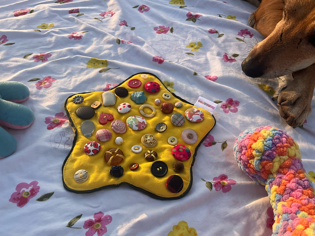 Sensory Buddie Star ⭐️