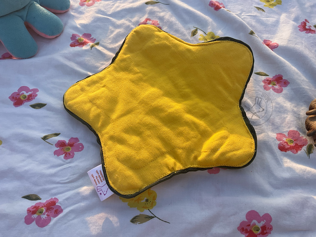 Sensory Buddie Star ⭐️