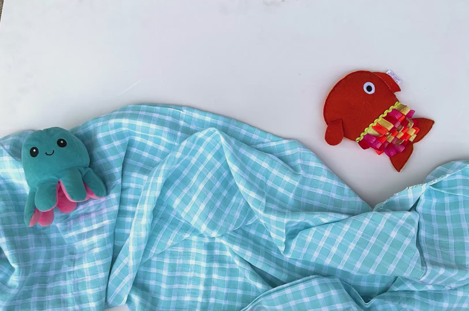 Fishy 🐠 Sensory Buddie